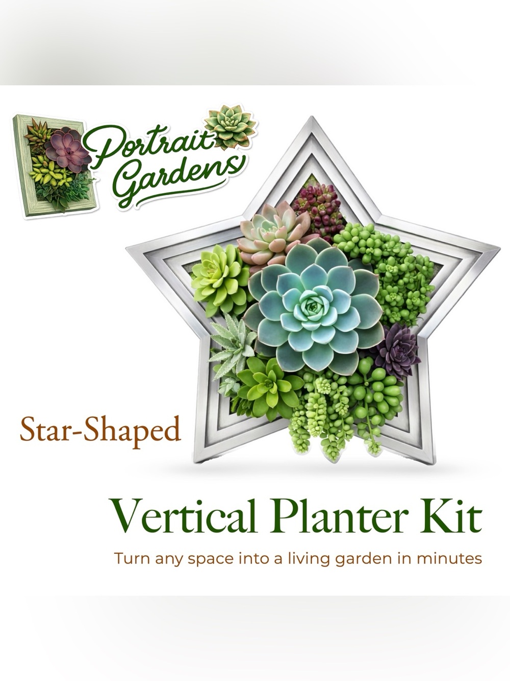 Star-Shaped Vertical Planter Kit (Silver) - Portrait Gardens